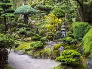 Utilizzi in giardino delle conifere